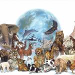 Os animais e o Sistema Irracionalista