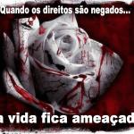 Escravidão humana no mundo: você contribui