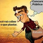 Como foi o meu estudo para concursos públicos?
