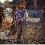 Direito à profissionalização e a proteção do trabalho infantil: aprendizagem e trabalho rural