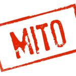 6 Mitos Jurídicos que você precisa esquecer