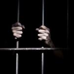 Responsabilidade penal das pessoas jurídicas