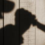 Psicopatia e seus reflexos na imputabilidade penal