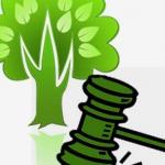 Competência Ambiental: disposições