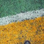 As dez medidas contra a corrupção e o técnico de futebol