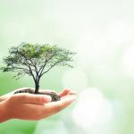 Princípios do Direito Ambiental