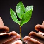 Certificações Normativas de Responsabilidade Ambiental e Social