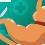 Da recusa indevida dos planos de saúde para a cobertura de cirurgia bariátrica