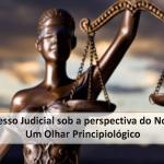 O Processo Judicial sob a perspectiva do Novo CPC