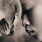 Animais, cada dia mais sujeitos de direitos