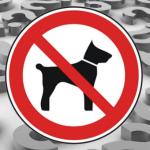 Animais em condomínios: pode ou não?