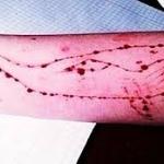 A Instigação ao suicídio nas mídias sociais e a publicitação do jogo Baleia Azul, seriado 13 Reasons Why sobre a égide da Norma Penal Brasileira