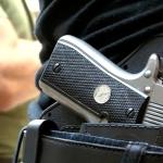 Apontamentos acerca do porte de arma de fogo no interior de casas de diversão