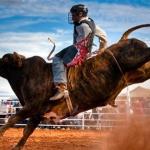 A crueldade contra animais passa a ser permitida no Brasil para práticas desportivas