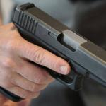 Você é a favor da liberação do porte de arma?