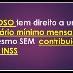 Pessoa idosa tem direito a um salário mínimo mensal independentemente de contribuição à seguridade social
