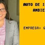 Crimes Ambientais: Análise da Súmula 467 do STJ (Prescrição de multa ambiental)