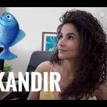 O que é a Lei Kandir? Qual a situação atual?