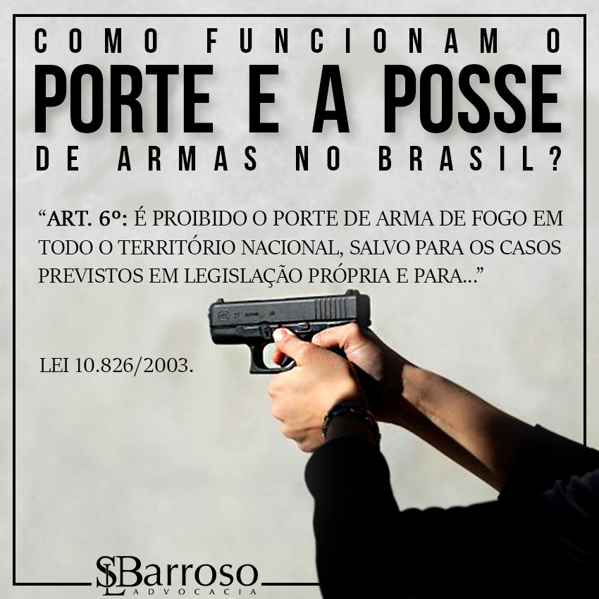 Como Funcionam O Porte E A Posse De Armas De Fogo No Brasil 8155