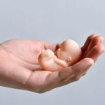 Uruguai: após legalização, desistência de abortos sobe 30%