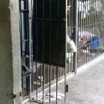 Morte de detento e responsabilidade civil do Estado