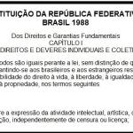 Justiça retira matérias do blog e proíbe falar do DPF Moscardi