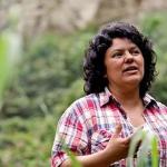 Número de ativistas ambientais assassinados sobe 59% em um ano; Brasil lidera lista