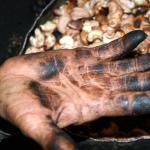 Crianças sem identidade, o trabalho infantil na produção de castanha de caju