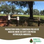 Proprietário rural é condenado por uso de madeira imune ao corte sem prévia autorização ambiental