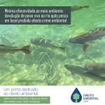 Mínima ofensividade ao meio ambiente: devolução de peixe vivo ao rio após pesca em local proibido afasta crime ambiental