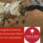 Promulgada EC que libera a prática da vaquejada
