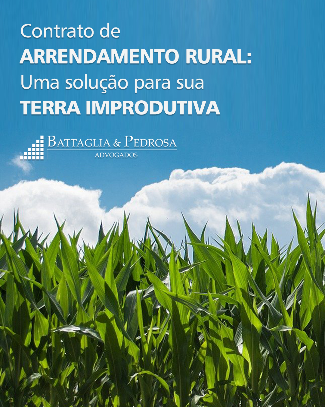 Contrato de arrendamento rural uma solução para sua terra improdutiva