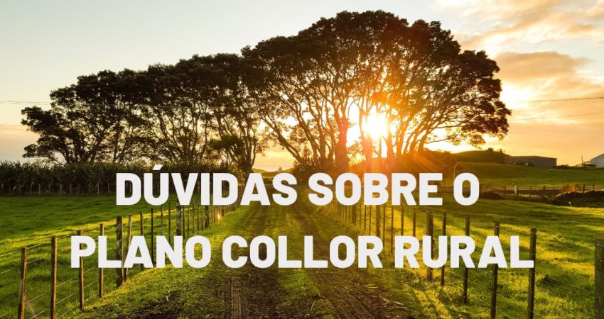 Tire suas dúvidas sobre o Plano Collor Rural | Jusbrasil