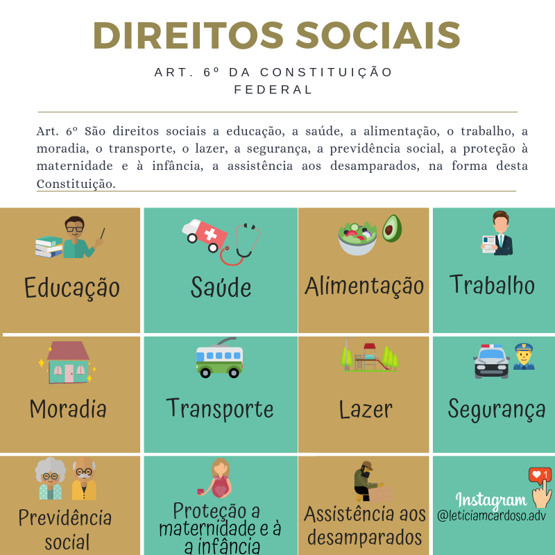 O Que é Constituição Social