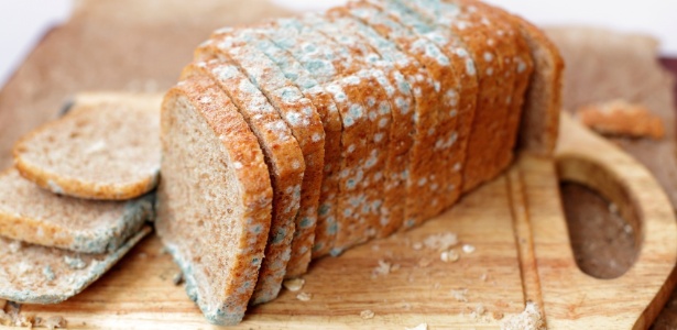 Alimento impróprio para consumo, potenciais riscos à saúde e a ...