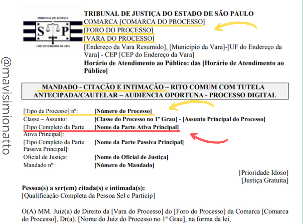 Aprenda a identificar as informações da citação e intimação. | Jusbrasil