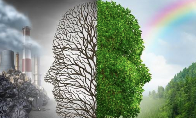 O que significa licenciamento ambiental?