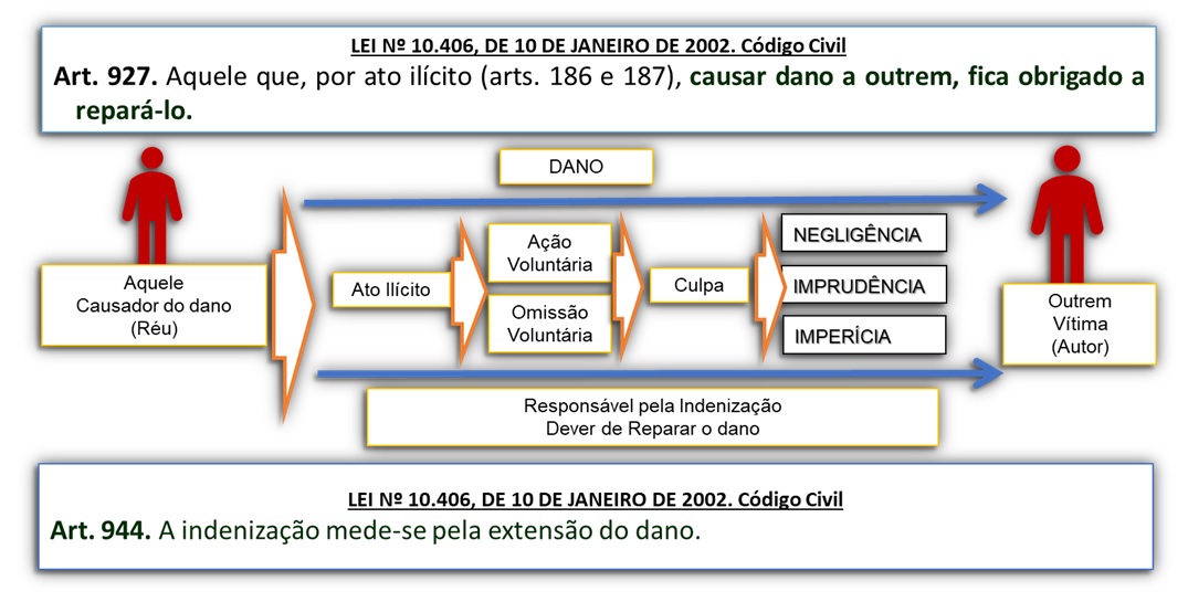 Direito Processual Civil: Conhecendo a teoria e entendendo na