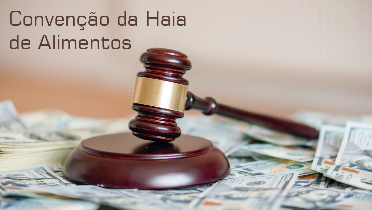 Prestação internacional de alimentos Pedidos de pensão